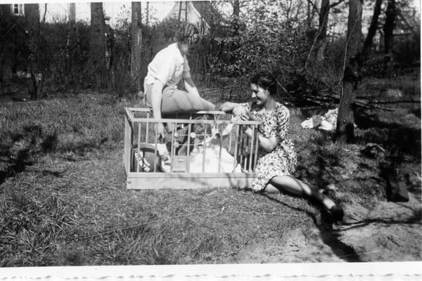 Photo of Alice Persyn